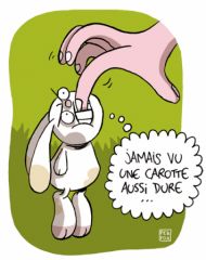 Wapiti 266 - Lapin mord.jpg